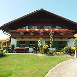 Dopfer Daire