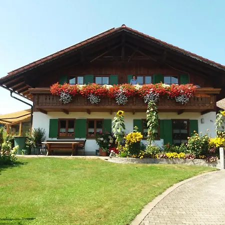 Dopfer Apartment